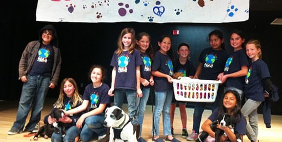 Image is not available